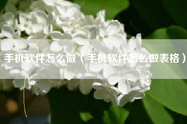 手机软件怎么做（手机软件怎么做表格）