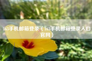163手机邮箱登录（163手机邮箱登录入口官网）