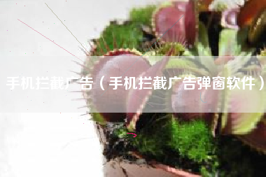 手机拦截广告（手机拦截广告弹窗软件）