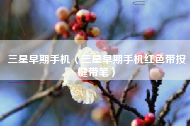 三星早期手机（三星早期手机红色带按键带笔）