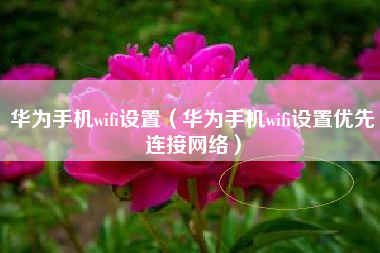 华为手机wifi设置（华为手机wifi设置优先连接网络）
