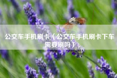 公交车手机刷卡（公交车手机刷卡下车需要刷吗）