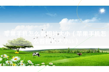 苹果手机怎么看相片大小（苹果手机怎么看相片大小kb）