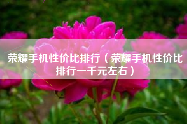 荣耀手机性价比排行（荣耀手机性价比排行一千元左右）