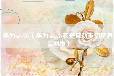 华为nova5z（华为nova5z老是自动重启是怎么回事）