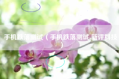 手机跌落测试（手机跌落测试 新评科技）