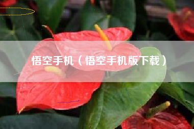 悟空手机（悟空手机版下载）