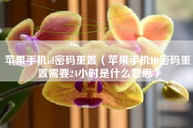 苹果手机id密码重置（苹果手机ID密码重置需要24小时是什么意思）