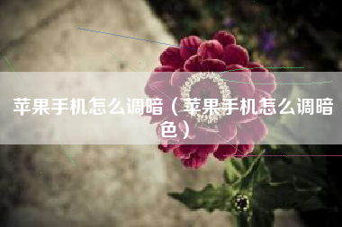 苹果手机怎么调暗（苹果手机怎么调暗色）