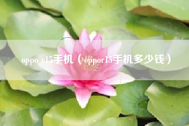 oppo r15手机（oppor15手机多少钱）