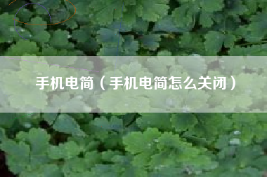 手机电简（手机电简怎么关闭）