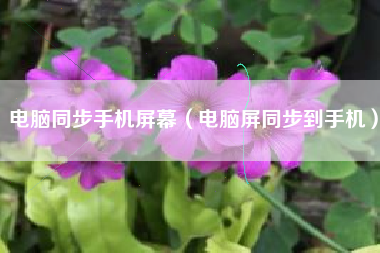电脑同步手机屏幕（电脑屏同步到手机）