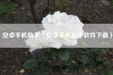 安卓手机助手（安卓手机助手软件下载）