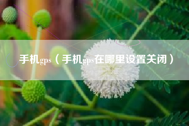 手机gps（手机gps在哪里设置关闭）