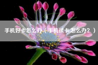 手机好卡怎么办（手机很卡,怎么办？）