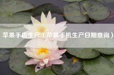 苹果手机生产（苹果手机生产日期查询）