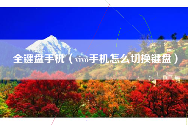 全键盘手机（vivo手机怎么切换键盘）