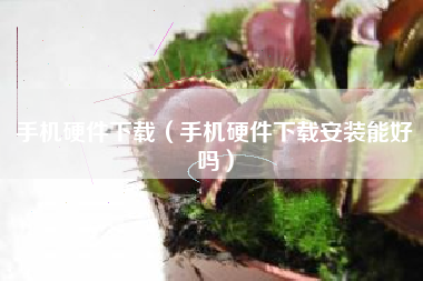 手机硬件下载（手机硬件下载安装能好吗）