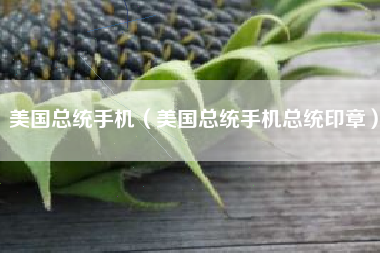 美国总统手机（美国总统手机总统印章）