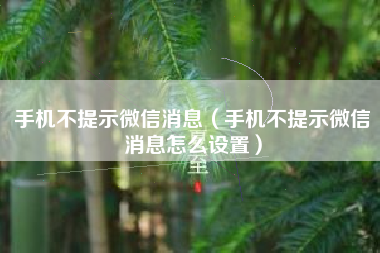 手机不提示微信消息（手机不提示微信消息怎么设置）