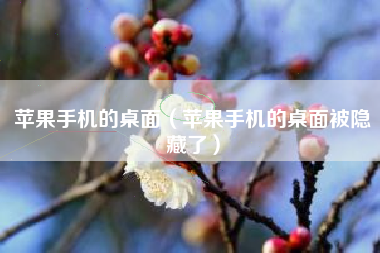 苹果手机的桌面（苹果手机的桌面被隐藏了）