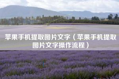苹果手机提取图片文字（苹果手机提取图片文字操作流程）