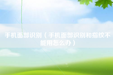 手机面部识别（手机面部识别和指纹不能用怎么办）