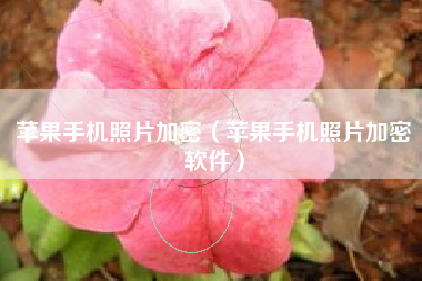 苹果手机照片加密（苹果手机照片加密软件）
