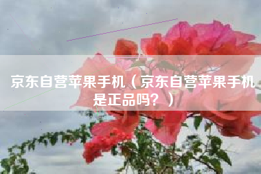 京东自营苹果手机（京东自营苹果手机是正品吗？）
