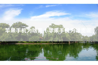 苹果手机为啥贵（苹果手机为啥贵呢）