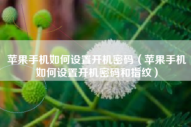 苹果手机如何设置开机密码（苹果手机如何设置开机密码和指纹）