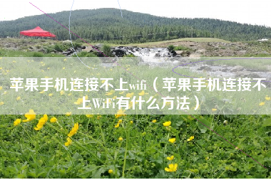 苹果手机连接不上wifi（苹果手机连接不上WiFi有什么方法）