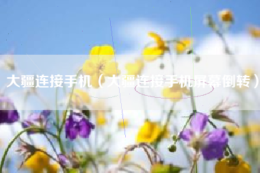 大疆连接手机（大疆连接手机屏幕倒转）