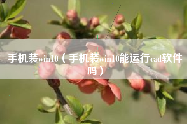 手机装win10（手机装win10能运行cad软件吗）