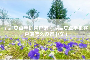 steam安卓手机客户端（steam安卓手机客户端怎么设置中文）