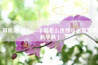 耳机 手机（vivo手机怎么连接小米蓝牙耳机手机）