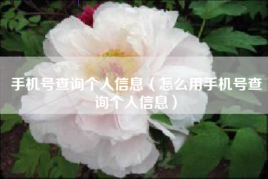 手机号查询个人信息（怎么用手机号查询个人信息）