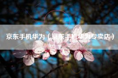 京东手机华为（京东手机华为专卖店）