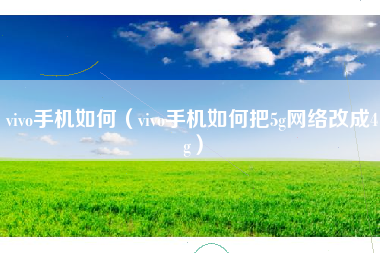 vivo手机如何（vivo手机如何把5g网络改成4g）