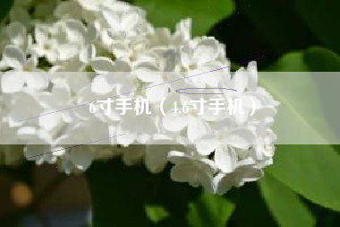 6寸手机（4.6寸手机）