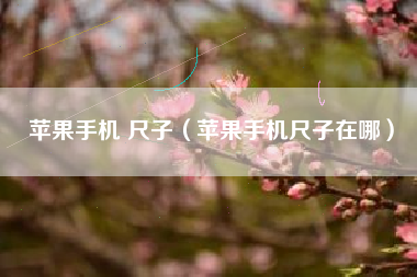 苹果手机 尺子（苹果手机尺子在哪）