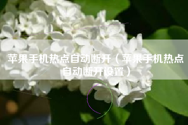 苹果手机热点自动断开（苹果手机热点自动断开设置）