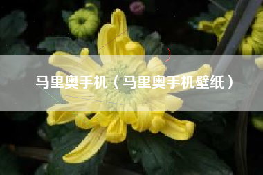 马里奥手机（马里奥手机壁纸）