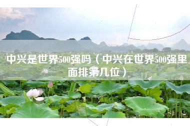 中兴是世界500强吗（中兴在世界500强里面排第几位）