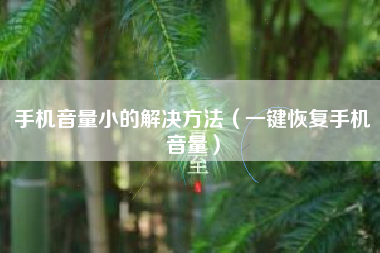 手机音量小的解决方法（一键恢复手机音量）