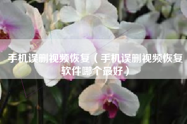 手机误删视频恢复（手机误删视频恢复软件哪个最好）