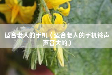 适合老人的手机（适合老人的手机铃声声音大的）