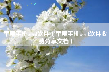 苹果手机word软件（苹果手机word软件收费分享文档）