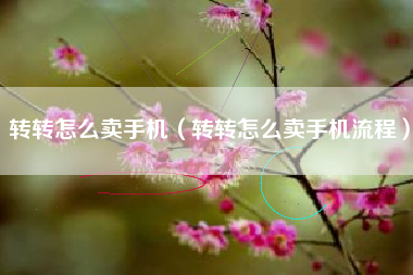 转转怎么卖手机（转转怎么卖手机流程）