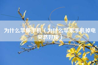 为什么苹果手机（为什么苹果手机掉电突然好快）
